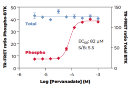 THUNDER™ Total BTK TR-FRET Cell Signaling Assay Kit (Bruton's Tyrosine Kinase)