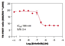 THUNDER™ Phospho-CREB (S133) TR-FRET Cell Signaling Assay Kit