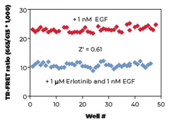 THUNDER™ Phospho-CREB (S133) TR-FRET Cell Signaling Assay Kit