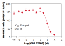 THUNDER™ Phospho-eIF4E (S209) TR-FRET Cell Signaling Assay Kit (Eukaryotic Translation Initiation Factor 4E, mRNA Cap-binding Protein)