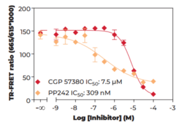 THUNDER™ Phospho-eIF4E (S209) TR-FRET Cell Signaling Assay Kit