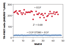 THUNDER™ Phospho-eIF4E (S209) TR-FRET Cell Signaling Assay Kit