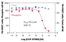 THUNDER™ Total eIF4E TR-FRET Cell Signaling Assay Kit (Eukaryotic Translation Initiation Factor 4E, mRNA Cap-binding Protein)