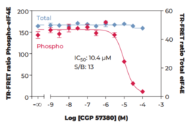 THUNDERTM Phospho-eIF4E (S209) + Total eIF4E TR-FRET Cell Signaling Assay Kit