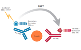 THUNDER™ Total GAPDH TR-FRET Cell Signaling Assay Kit
