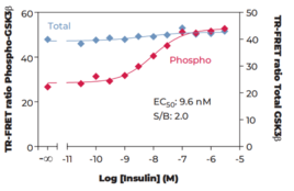 THUNDER™ Total GSK3β TR-FRET Cell Signaling Assay Kit (Glycogen Synthase Kinase 3β, GSK3B, Serine/threonine-protein Kinase GSK3B)