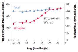 THUNDER™ Phospho-GSK3β (S9) + Total GSK3β TR-FRET Cell Signaling Assay Kit (Glycogen Synthase Kinase 3β, GSK3B, Serine/threonine-protein Kinase GSK3B)