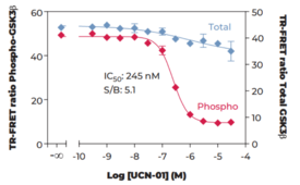 THUNDER™ Phospho-GSK3β (S9) + Total GSK3β TR-FRET Cell Signaling Assay Kit