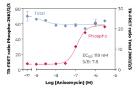 THUNDER™ Total JNK1/2/3 TR-FRET Cell Signaling Assay Kit (c-Jun N-terminal Kinase)