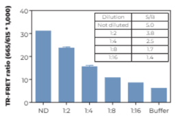 THUNDER™ Phospho-JNK1/2/3 (T183/Y185) + Total JNK1/2/3 TR-FRET Cell Signaling Assay Kit