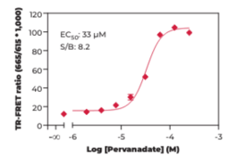 THUNDER™ Phospho-LCK (Y394) TR-FRET Cell Signaling Assay Kit (Lymphocyte Cell-specific Protein Tyrosine Kinase, Tyrosine Protein Kinase LCK, Leukocyte C-terminal Src Kinase)