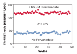 THUNDER™ Phospho-LCK (Y394) TR-FRET Cell Signaling Assay Kit