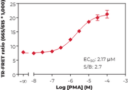 THUNDER™ Phospho-MEK1 (S218/S222) TR-FRET Cell Signaling Assay Kit (MAP Kinase Kinase 1, MAPKK1, Mitogen-activated Protein Kinase Kinase 1)