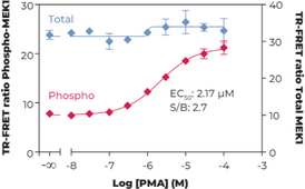 THUNDER™ Phospho-MEK1 (S218/S222) + Total MEK1 TR-FRET Cell Signaling Assay Kit (MAP Kinase Kinase 1, MAPKK1, Mitogen-activated Protein Kinase Kinase 1)