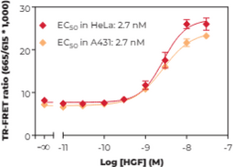 THUNDER™ Phospho-c-Met (Y1234/Y1235) TR-FRET Cell Signaling Assay Kit (Hepatocyte Growth Factor Receptor, HGFR, HGF Receptor, Proto-oncogene c-Met)