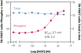 THUNDER™ Total c-Met TR-FRET Cell Signaling Assay Kit (Hepatocyte Growth Factor Receptor, HGFR, HGF Receptor, Proto-oncogene c-Met)
