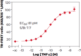 THUNDER™ Phospho-NF-kB (S536) TR-FRET Cell Signaling Assay Kit (Nuclear Factor-κB)