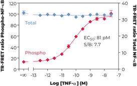 THUNDER™ Phospho-NF-kB (S536) + Total NF-kB TR-FRET Cell Signaling Assay Kit (Nuclear Factor-κB)