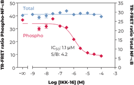 THUNDER™ Phospho-NF-kB (S536) + Total NF-kB TR-FRET Cell Signaling Assay Kit