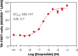 THUNDER™ Phospho-p53 (S15) TR-FRET Cell Signaling Assay Kit (Antigen NY-CO-13, Cellular Tumor Antigen p53, Phosphoprotein p53, Transformation-related Protein 53, Tumor Protein p53)
