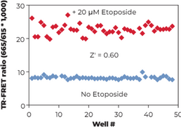 THUNDER™ Phospho-p53 (S15) TR-FRET Cell Signaling Assay Kit