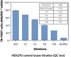 THUNDER™ Total p53 TR-FRET Cell Signaling Assay Kit