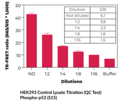 THUNDER™ Phospho-p53 (S15) + Total p53 TR-FRET Cell Signaling Assay Kit