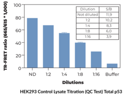 THUNDER™ Phospho-p53 (S15) + Total p53 TR-FRET Cell Signaling Assay Kit