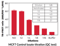 THUNDER™ Phospho-p70 S6K (T389) TR-FRET Cell Signaling Assay Kit