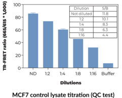 THUNDER™ Total p70 S6K TR-FRET Cell Signaling Assay Kit