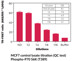 THUNDER™ Phospho-p70 S6K (T389) + Total p70 S6K TR-FRET Cell Signaling Assay Kit