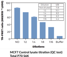 THUNDER™ Phospho-p70 S6K (T389) + Total p70 S6K TR-FRET Cell Signaling Assay Kit