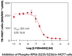 THUNDER™ Phospho-RPS6 (S235/S236) TR-FRET Cell Signaling Assay Kit