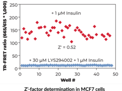 THUNDER™ Phospho-RPS6 (S235/S236) TR-FRET Cell Signaling Assay Kit