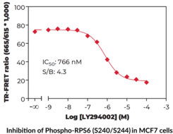 THUNDER™ Phospho-RPS6 (S240/S244) TR-FRET Cell Signaling Assay Kit