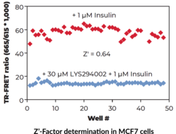 THUNDER™ Phospho-RPS6 (S240/S244) TR-FRET Cell Signaling Assay Kit