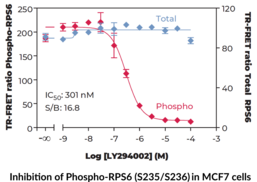THUNDER™ Total RPS6 TR-FRET Cell Signaling Assay Kit
