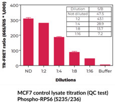 THUNDER™ Phospho-RPS6 (S235/S236) + Total RPS6 TR-FRET Cell Signaling Assay Kit