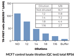 THUNDER™ Phospho-RPS6 (S235/S236) + Total RPS6 TR-FRET Cell Signaling Assay Kit