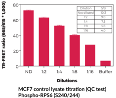 THUNDER™Phospho-RPS6 (S240/S244) + Total RPS6 TR-FRET Cell Signaling Assay Kit