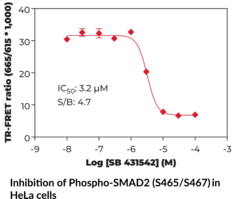 THUNDER™ Phospho-SMAD2 (S465/S467) TR-FRET Cell Signaling Assay Kit