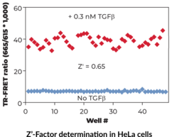 THUNDER™ Phospho-SMAD2 (S465/S467) TR-FRET Cell Signaling Assay Kit