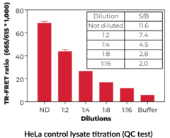 THUNDER™ Phospho-SMAD2 (S465/S467) TR-FRET Cell Signaling Assay Kit