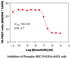 THUNDER™ Phospho-SRC (Y419) TR-FRET Cell Signaling Assay Kit