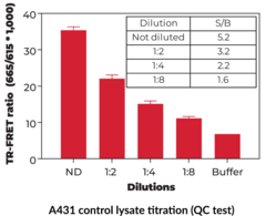 THUNDER™ Phospho-SRC (Y419) TR-FRET Cell Signaling Assay Kit