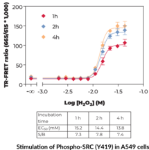 THUNDER™ Phospho-SRC (Y419) TR-FRET Cell Signaling Assay Kit