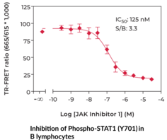 THUNDER™ Phospho-STAT1 (Y701) TR-FRET Cell Signaling Assay Kit