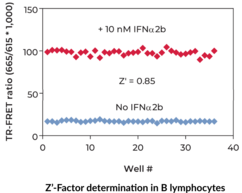 THUNDER™ Phospho-STAT1 (Y701) TR-FRET Cell Signaling Assay Kit