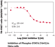 THUNDER™ Phospho-STAT6 (Y641) TR-FRET Cell Signaling Assay Kit