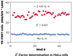 THUNDER™ Phospho-STAT6 (Y641) TR-FRET Cell Signaling Assay Kit